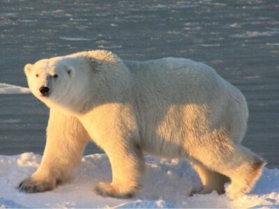 img-20251120-wa0002-1-1024x524-1